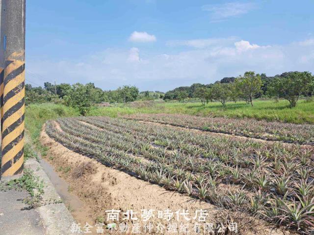 關廟農地-6