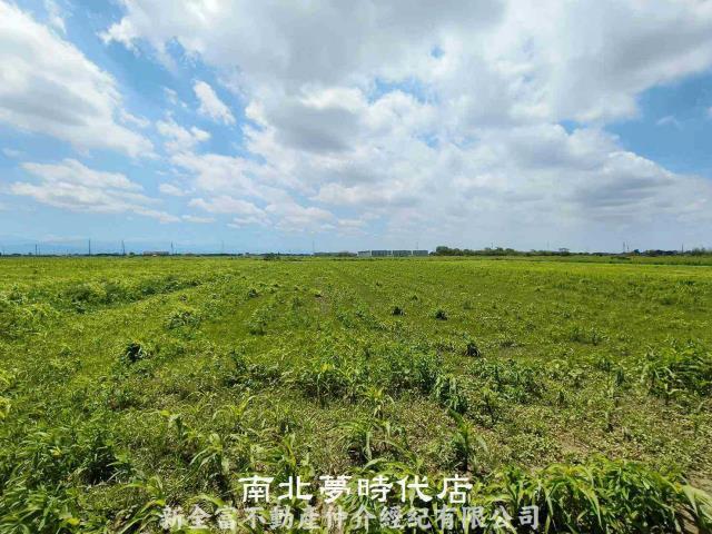 台南鹽水農地-4