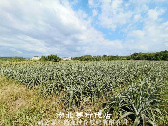 山上農地-0