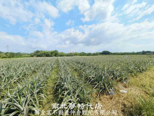 山上農地-1