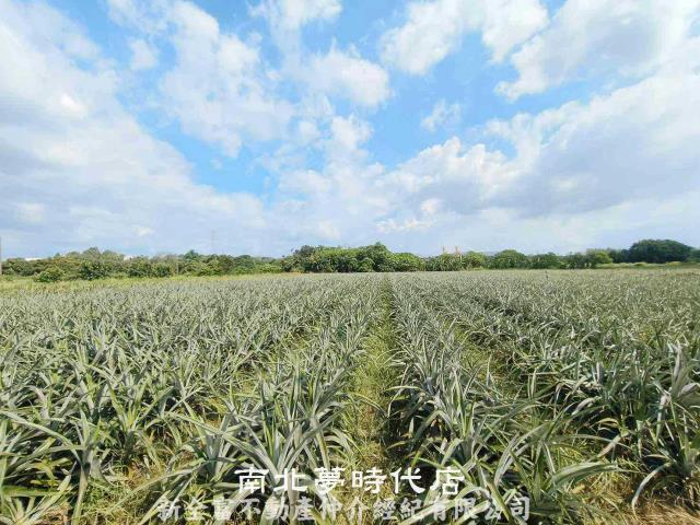 山上農地-2