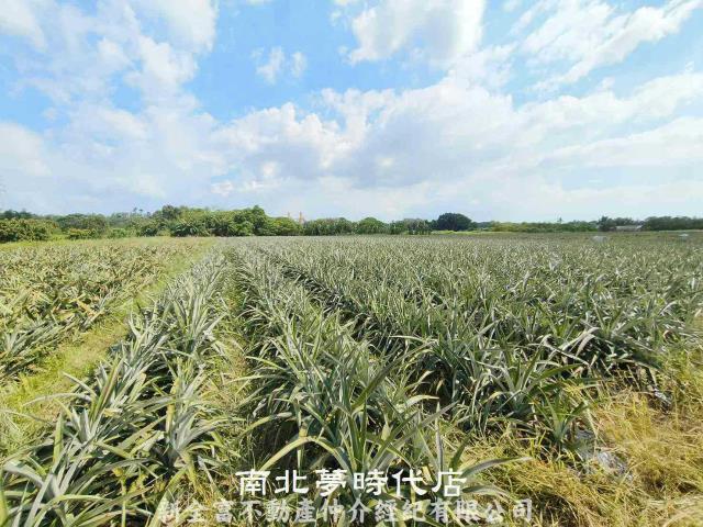 山上農地-5