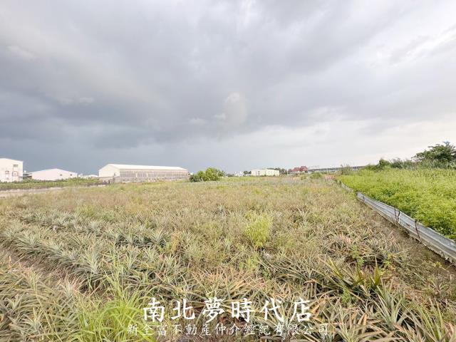台南新化農地-8