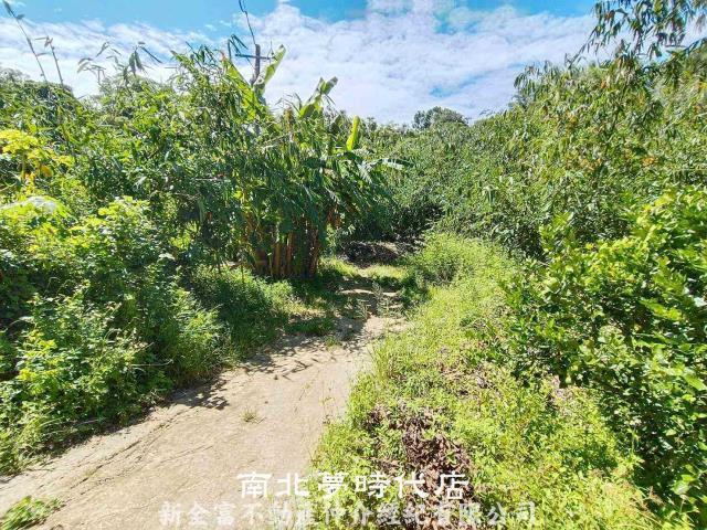 左鎮農地-12
