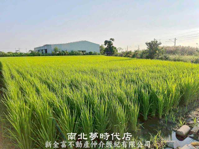 後壁農地-1