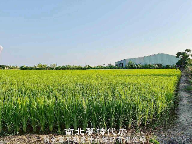 後壁農地-2