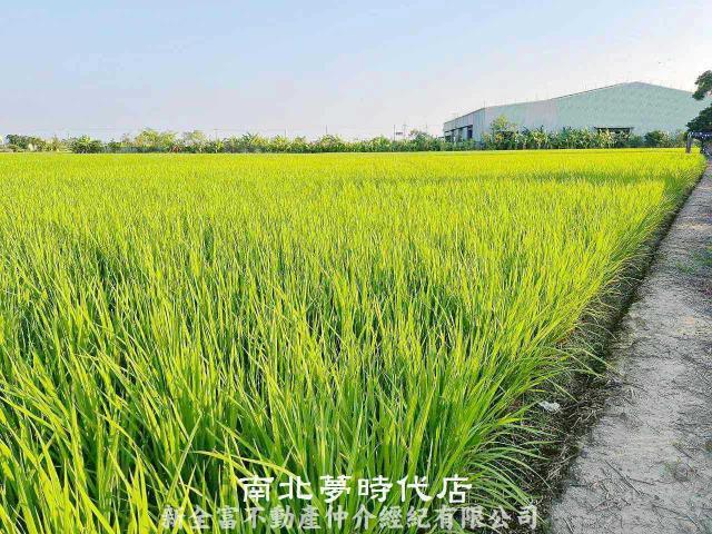 後壁農地-3