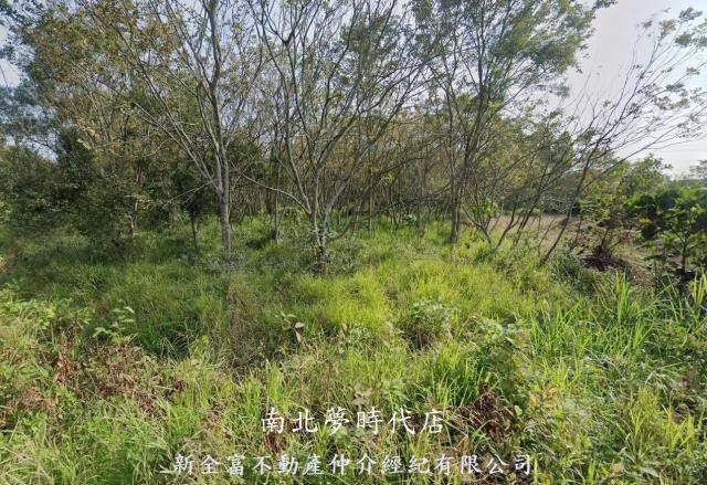 台南大內農地-0