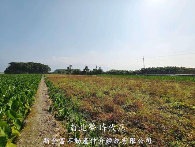 屏東高樹農地-5