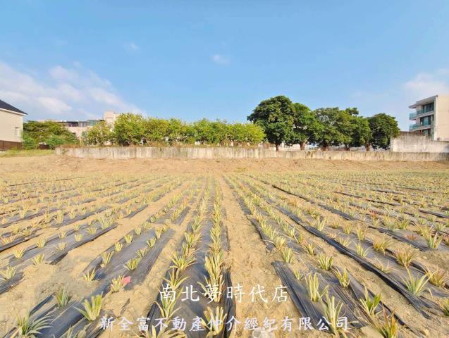台南關廟農地-3