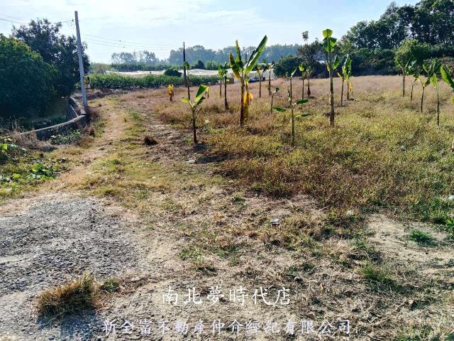 台南農地-1