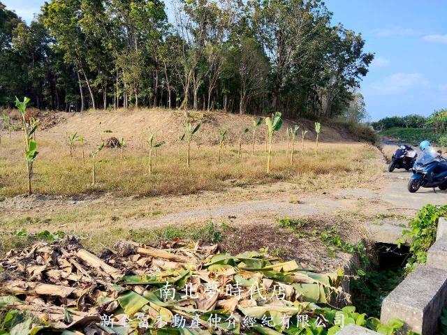 台南農地-5