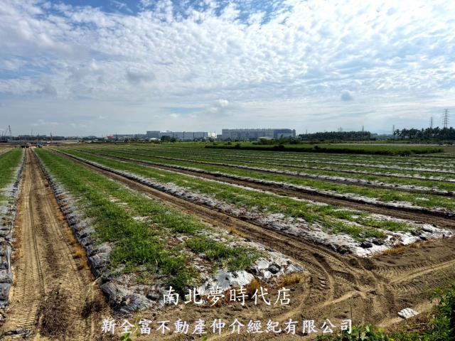 台南新市農地-10