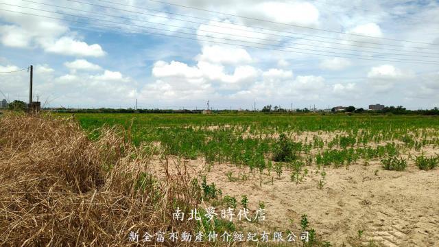 新營農地-6