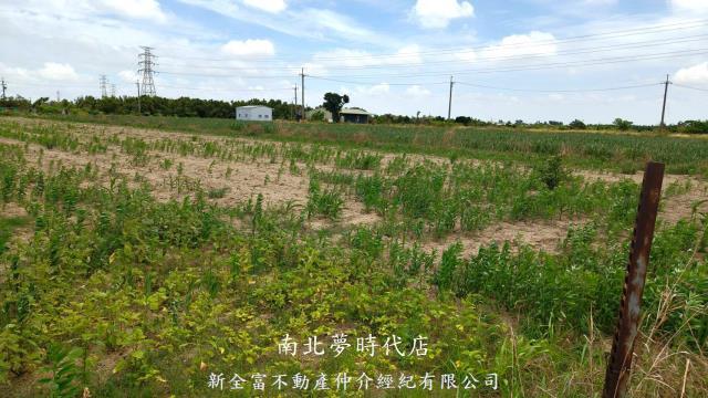 新營農地-8