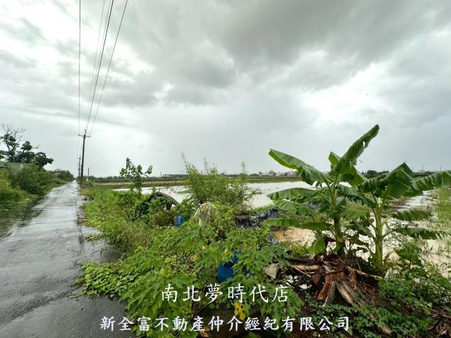 鹽水農地-10