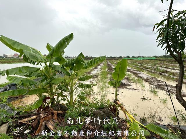 鹽水農地-11
