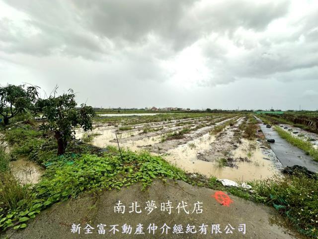 鹽水農地-3