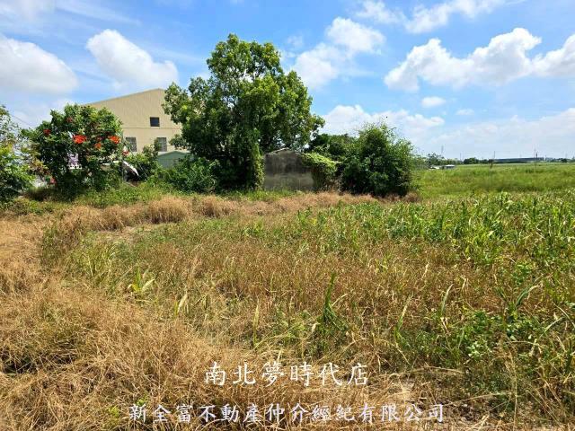 佳里農地-10