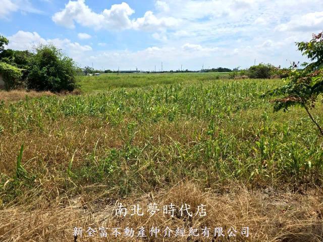 佳里農地-11