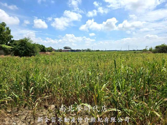 佳里農地-5