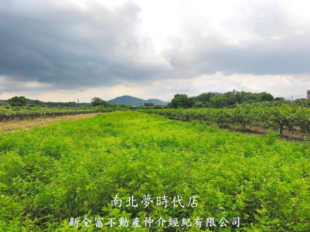 台南玉井農地-1