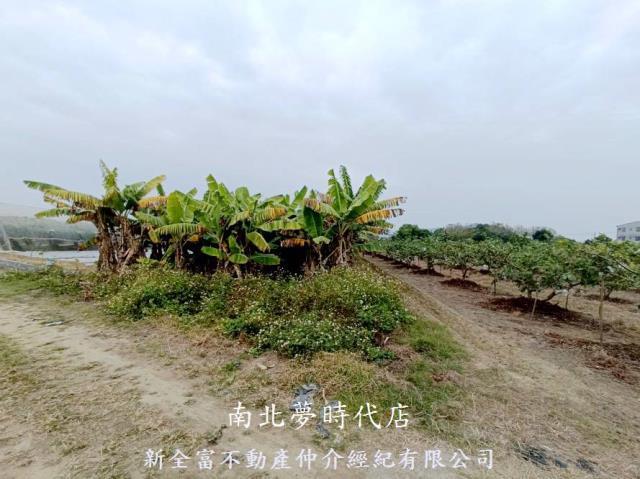 台南玉井農地-2