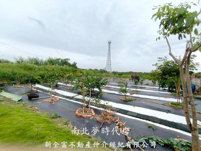 台南七股農地-14
