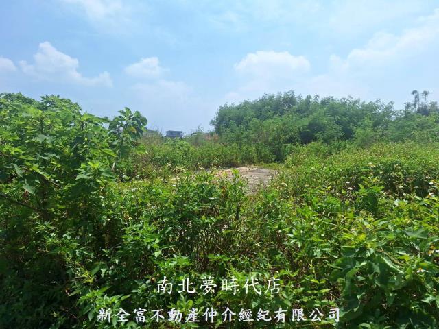 義竹建地-10