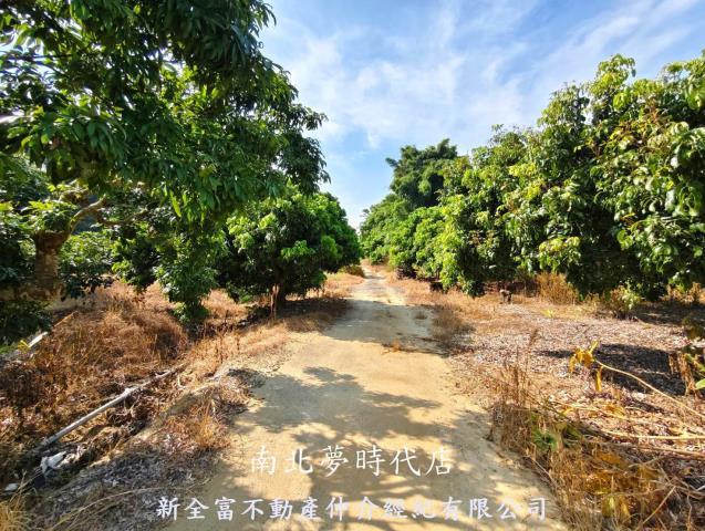 台南農地-0