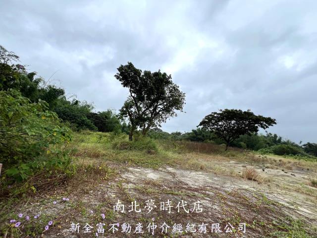 台南農地-4